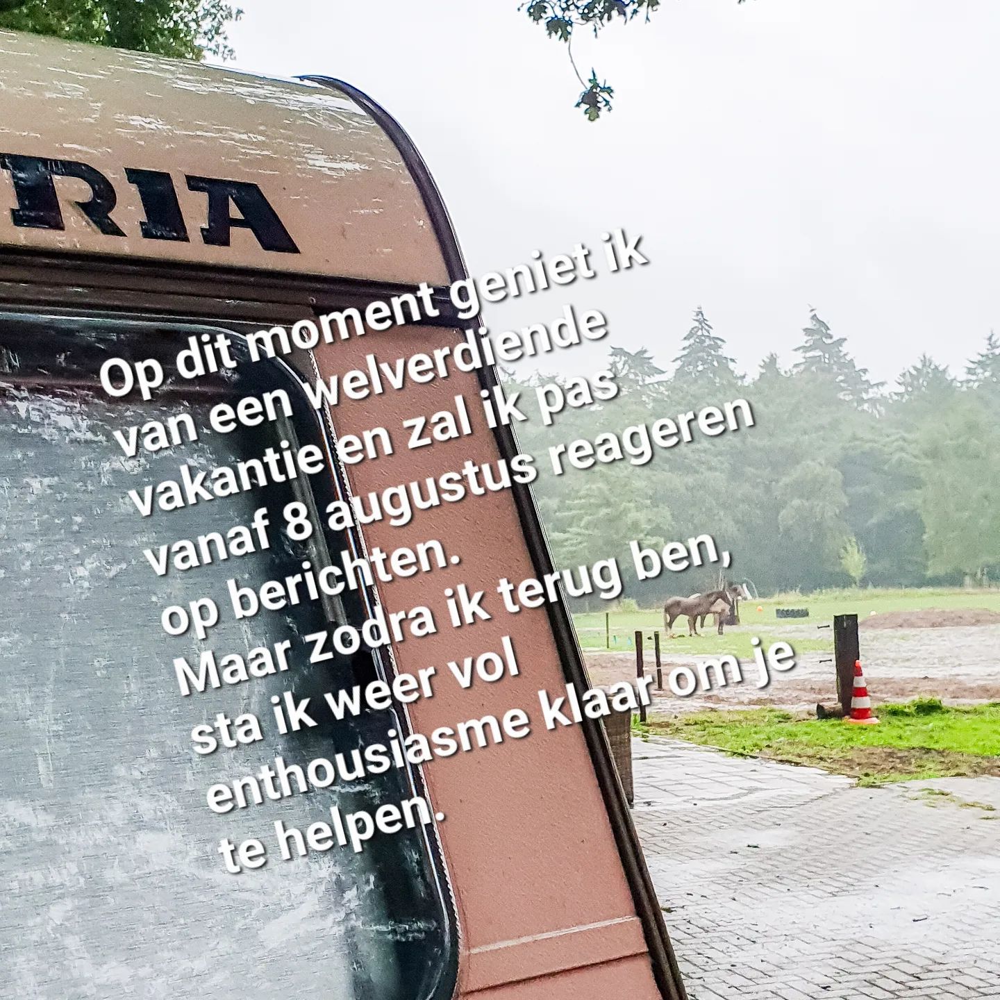 🚶♀️🌞☂️
#vakantie #paardensportmassage #academischerijkunst #Putten #rotterdam #bossen #natuur