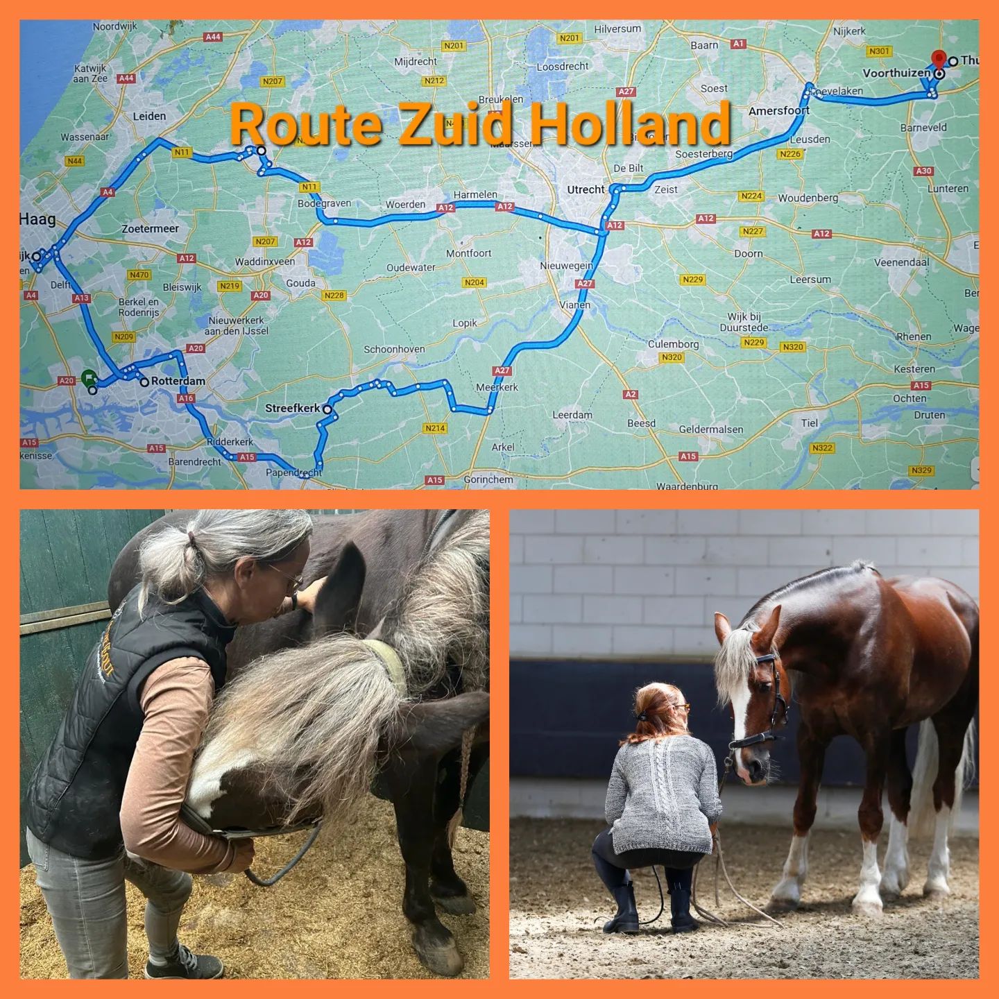 Ontdek hoe ik jou en je paard kan ondersteunen, zodat hij nog vrijer kan bewegen en optimaal kan functioneren en presteren.Beschikbaar in een straal van 60 km rondom NijkerkAanwezig in Zuid-Holland op:
Zaterdag 18 mei
Zaterdag 1 juni
Zaterdag 15 juni
Zaterdag 29 juniVoor andere regio's: bij genoeg interesse kom ik graag langs op een doordeweekse dag.
Maak een afspraak voor een ontspannende equine sportmassage of myofascial manipulatie-release behandeling, en/of een les, naast of onder het zadel volgens de trainingsvisie van de Academische Rijkunst. Samen kunnen we ervoor zorgen dat jouw paard nog vrijer kan bewegen en optimaal kan functioneren en presteren!Meer info? Check mijn website www.pureequi.nl of app 06-46362500 of stuur een PB. We doen het voor jou paard.#paardensportmassage #paardenmassage #sportmassagehorses #fasciarelease #myofascialreleasehorses  #fasciaketens #equinebodywork #sportmassagevoorpaarden #fasciapaard #myofascialreleaseforhorses #cranio #mobiliteitoefenen #happypaard #equinesportsmassage #horse #paard #academischerijkunst #grondwerk #werkaandehand #longeren #putten #garderen #nijkerk #kootwijk #barneveld