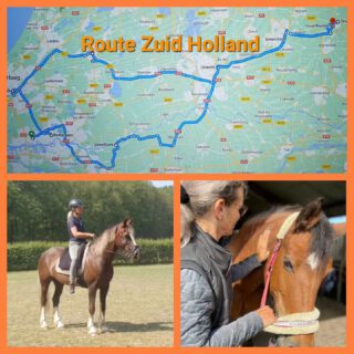 Misschien herken je het gevoel dat je een beetje vastzit in de training met je paard, of ben je bezig met het opleiden van een jong paard? Laten we samen aan de slag gaan om vooruitgang te boeken! Of het nu gaat om het verbeteren van de souplesse, het oplossen van bepaalde oefeningen of het ondersteunen van de algehele gezondheid van je paard, ik sta voor je klaar om je te helpen.Ontdek hoe ik jou en je paard kan ondersteunen, zodat hij nog vrijer kan bewegen en optimaal kan functioneren en presteren.Maak een afspraak voor een ontspannende equine sportmassage of myofascial manipulatie-release behandeling, en/of een les, naast of onder het zadel volgens de trainingsvisie van de Academische Rijkunst. Samen kunnen we ervoor zorgen dat jouw paard nog vrijer kan bewegen en optimaal kan functioneren en presteren!🌟 Beschikbaar in een straal van 60 km rondom Nijkerk🌟 Aanwezig in Zuid-Holland op:
Zaterdag 29 juni
Zaterdag 13 juli
Zaterdag 27 juli
Zaterdag 10 augustus
Zaterdag 24 augustusVoor andere regio's: bij genoeg interesse kom ik graag langs op een doordeweekse dag.Meer info? Check mijn website www.pureequi.nl of app 06-46362500 of stuur een PB. We doen het voor jou paard.#paardensportmassage #paardenmassage #sportmassagehorses #fasciarelease #myofascialreleasehorses  #fasciaketens #equinebodywork #sportmassagevoorpaarden #fasciapaard #myofascialreleaseforhorses #cranio #mobiliteitoefenen #happypaard #equinesportsmassage #horse #paard #academischerijkunst #grondwerk #werkaandehand #longeren #putten #garderen #nijkerk #Barneveld #Kootwijk