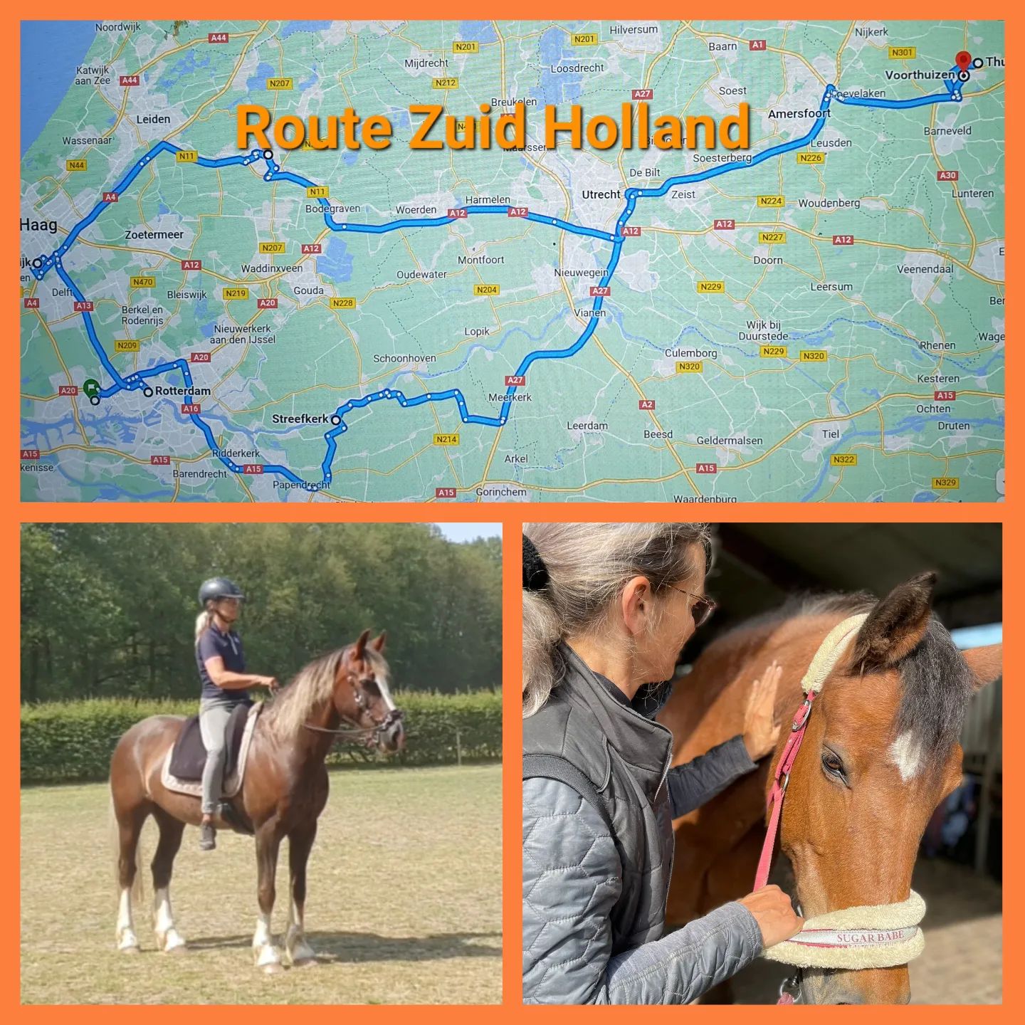 Misschien herken je het gevoel dat je een beetje vastzit in de training met je paard, of ben je bezig met het opleiden van een jong paard? Laten we samen aan de slag gaan om vooruitgang te boeken! Of het nu gaat om het verbeteren van de souplesse, het oplossen van bepaalde oefeningen of het ondersteunen van de algehele gezondheid van je paard, ik sta voor je klaar om je te helpen.Ontdek hoe ik jou en je paard kan ondersteunen, zodat hij nog vrijer kan bewegen en optimaal kan functioneren en presteren.Maak een afspraak voor een ontspannende equine sportmassage of myofascial manipulatie-release behandeling, en/of een les, naast of onder het zadel volgens de trainingsvisie van de Academische Rijkunst. Samen kunnen we ervoor zorgen dat jouw paard nog vrijer kan bewegen en optimaal kan functioneren en presteren!🌟 Beschikbaar in een straal van 60 km rondom Nijkerk🌟 Aanwezig in Zuid-Holland op:
Zaterdag 29 juni
Zaterdag 13 juli
Zaterdag 27 juli
Zaterdag 10 augustus
Zaterdag 24 augustusVoor andere regio's: bij genoeg interesse kom ik graag langs op een doordeweekse dag.Meer info? Check mijn website www.pureequi.nl of app 06-46362500 of stuur een PB. We doen het voor jou paard.#paardensportmassage #paardenmassage #sportmassagehorses #fasciarelease #myofascialreleasehorses  #fasciaketens #equinebodywork #sportmassagevoorpaarden #fasciapaard #myofascialreleaseforhorses #cranio #mobiliteitoefenen #happypaard #equinesportsmassage #horse #paard #academischerijkunst #grondwerk #werkaandehand #longeren #putten #garderen #nijkerk #Barneveld #Kootwijk