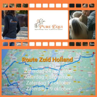 Ontdek hoe ik jou en je paard kan ondersteunen, zodat hij nog vrijer kan bewegen en optimaal kan functioneren en presteren.Maak een afspraak voor een ontspannende equine sportmassage of myofascial manipulatie-release behandeling, en/of een les, naast of onder het zadel volgens de trainingsvisie van de Academische Rijkunst. Samen kunnen we ervoor zorgen dat jouw paard nog vrijer kan bewegen en optimaal kan functioneren en presteren!🌟 Beschikbaar in een straal van 60 km rondom Nijkerk🌟 Aanwezig in Zuid-Holland op
- Zaterdag 24 augustus
- Zaterdag 7 september
- Zaterdag 12 oktober
- Zaterdag 19 oktoberVoor andere regio's: bij genoeg interesse kom ik graag langs op een doordeweekse dag.Meer info? Check mijn website www.pureequi.nl of app 06-46362500 of stuur een PB. We doen het voor jou paard.#paardensportmassage #sportmassagehorses #fasciarelease #myofascialreleasehorses  #fasciaketens #equinebodywork #sportmassagevoorpaarden #fasciapaard #myofascialreleaseforhorses #cranio #mobiliteitoefenen #happypaard #equinesportsmassage #horse #paard #academischerijkunst #grondwerk #werkaandehand #longeren #putten #garderen #nijkerk #Barneveld #Kootwijk