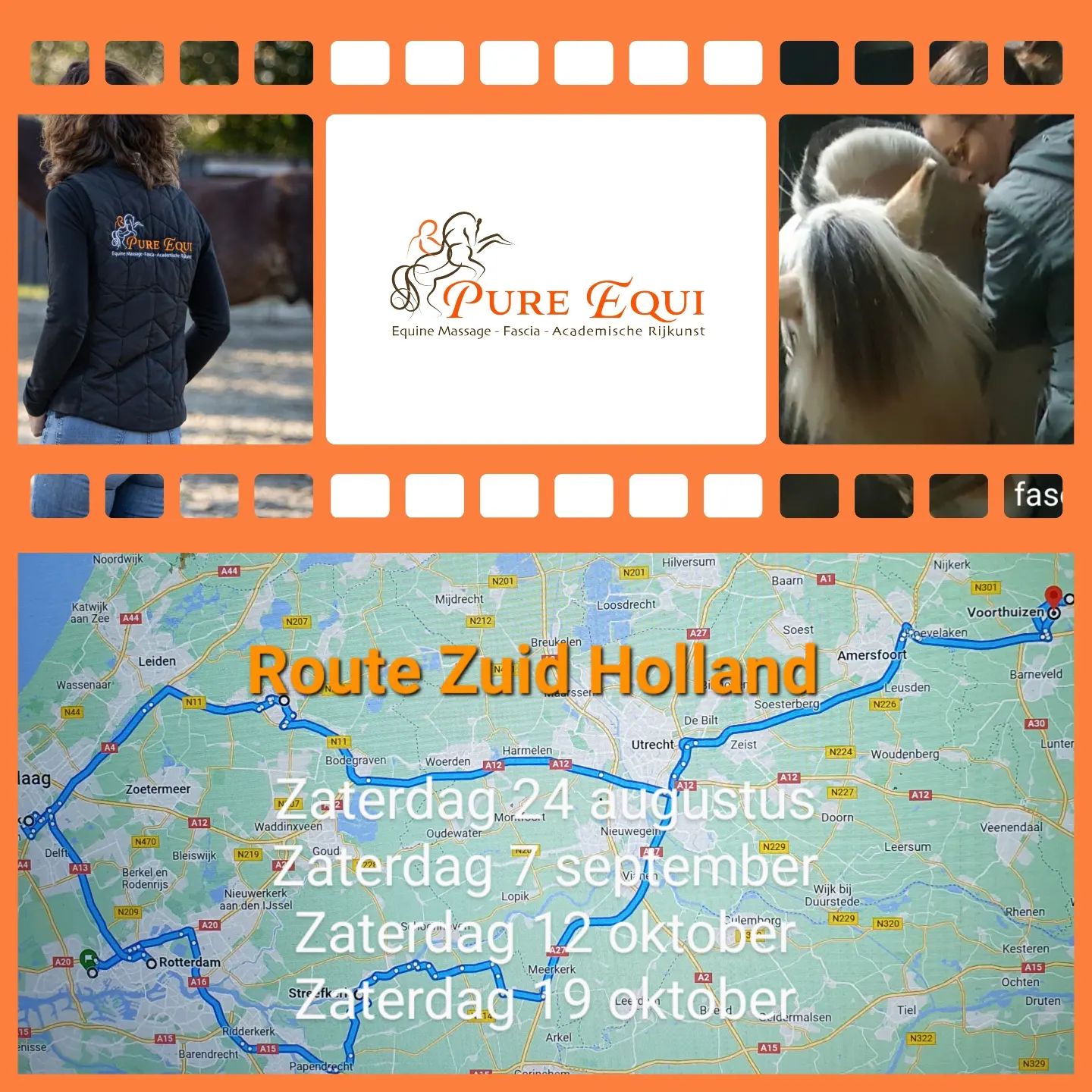 Ontdek hoe ik jou en je paard kan ondersteunen, zodat hij nog vrijer kan bewegen en optimaal kan functioneren en presteren.Maak een afspraak voor een ontspannende equine sportmassage of myofascial manipulatie-release behandeling, en/of een les, naast of onder het zadel volgens de trainingsvisie van de Academische Rijkunst. Samen kunnen we ervoor zorgen dat jouw paard nog vrijer kan bewegen en optimaal kan functioneren en presteren!🌟 Beschikbaar in een straal van 60 km rondom Nijkerk🌟 Aanwezig in Zuid-Holland op
- Zaterdag 24 augustus
- Zaterdag 7 september
- Zaterdag 12 oktober
- Zaterdag 19 oktoberVoor andere regio's: bij genoeg interesse kom ik graag langs op een doordeweekse dag.Meer info? Check mijn website www.pureequi.nl of app 06-46362500 of stuur een PB. We doen het voor jou paard.#paardensportmassage #sportmassagehorses #fasciarelease #myofascialreleasehorses #fasciaketens #equinebodywork #sportmassagevoorpaarden #fasciapaard #myofascialreleaseforhorses #cranio #mobiliteitoefenen #happypaard #equinesportsmassage #horse #paard #academischerijkunst #grondwerk #werkaandehand #longeren #putten #garderen #nijkerk #Barneveld #Kootwijk